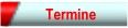 Termine.jpg (1980 Byte)